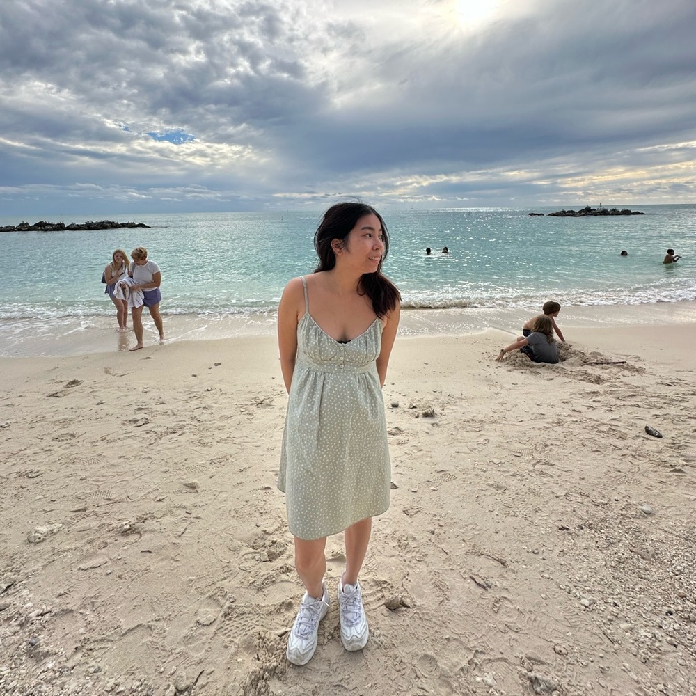 Brandy Melville Dress